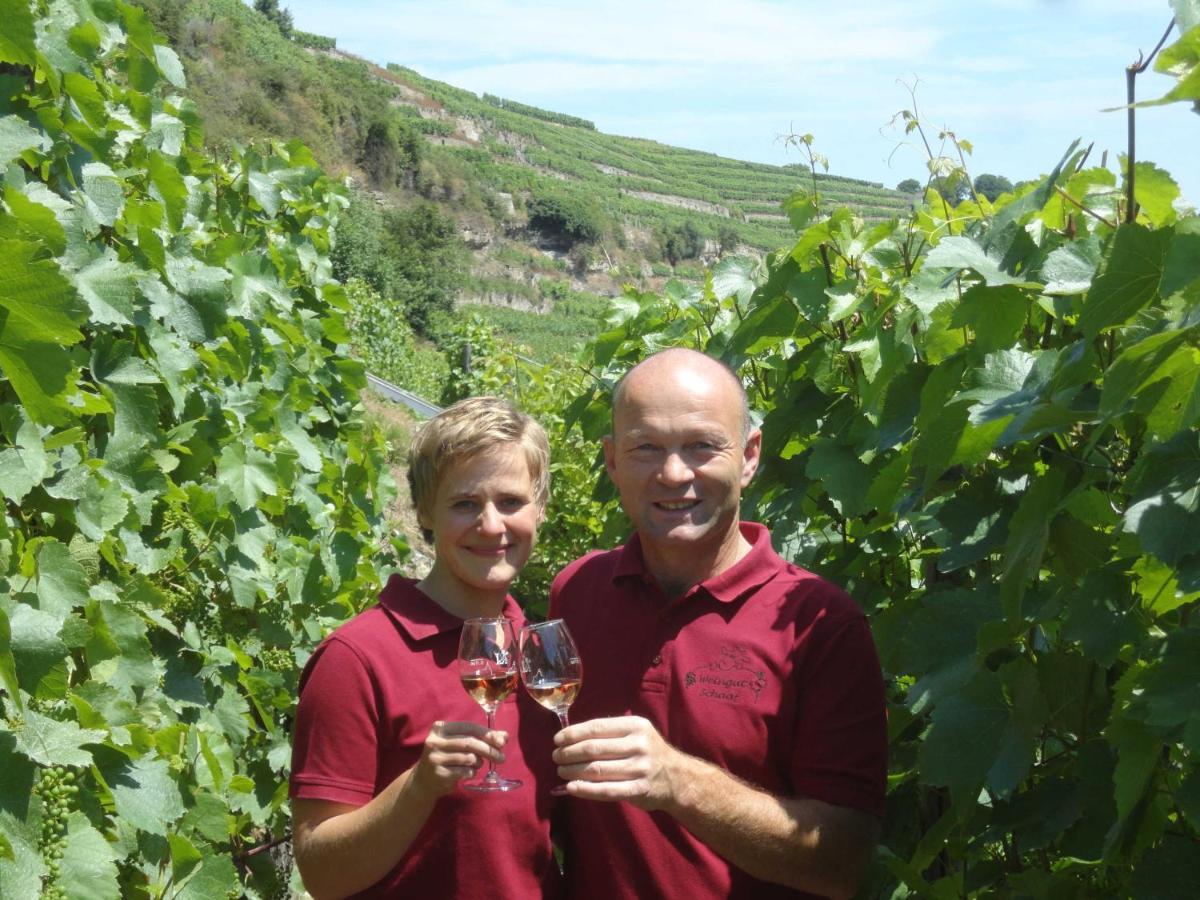 Weingut Schaaf Apartment Lauffen am Neckar Exterior foto